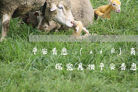 平安普惠協(xié)商還本金分期是真的嗎嗎，探究真相：平安普惠協(xié)商還本金分期是否真實(shí)可行？